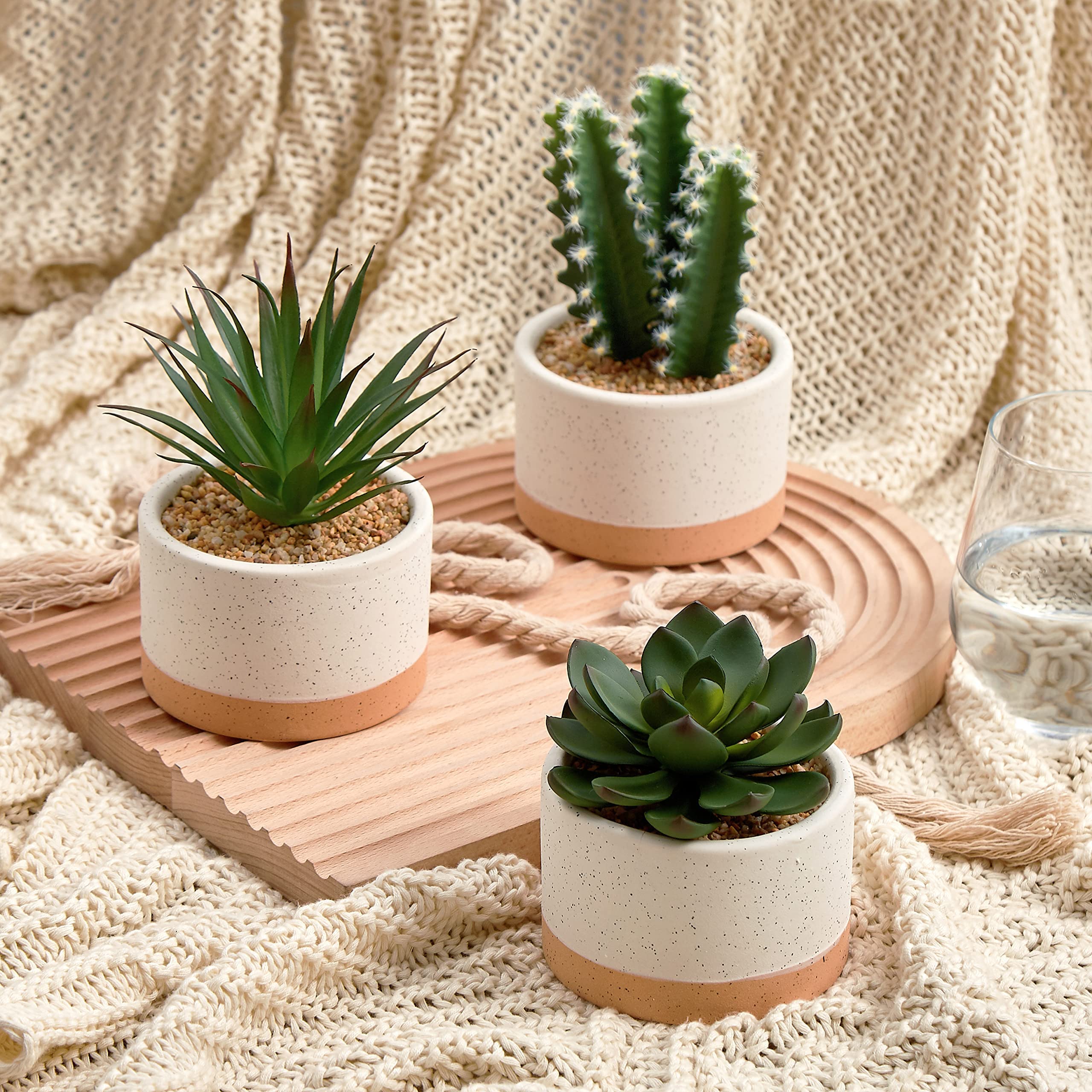ASTRIDIA gros plan texture des feuilles EVA, réalisme et toucher naturel