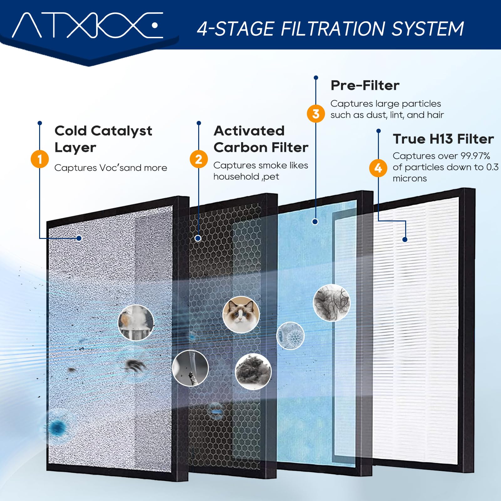 ATXKXE gros plan charbon actif montrant adsorption des odeurs
