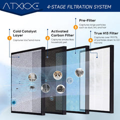 ATXKXE gros plan charbon actif montrant adsorption des odeurs