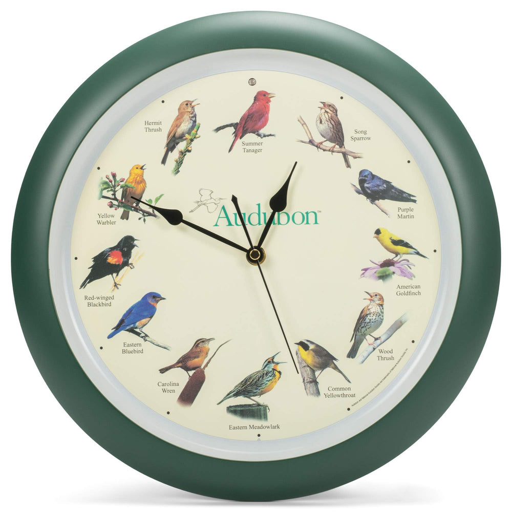 Mark Feldstein & Associates horloge de face montrant chants identifiables et design naturel