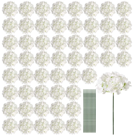 Auihiay packaging frontal montrant 64 hortensias pour organisation facile