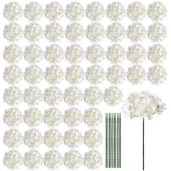 Auihiay packaging frontal montrant 64 hortensias pour organisation facile