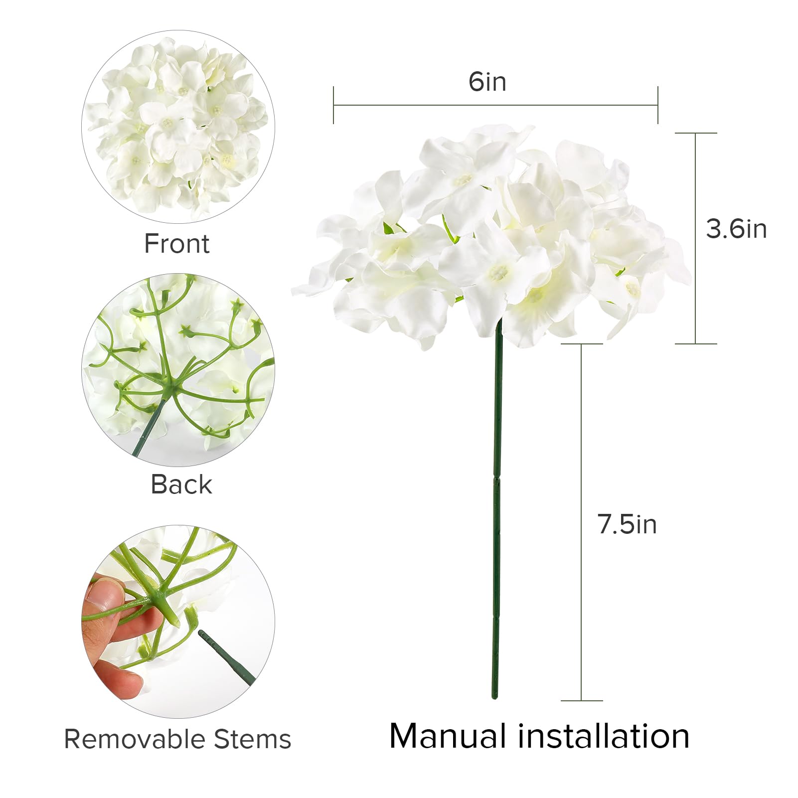 Auihiay arrangement en vase illustrant l'effet plein et décoratif instantané
