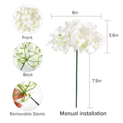 Auihiay arrangement en vase illustrant l'effet plein et décoratif instantané
