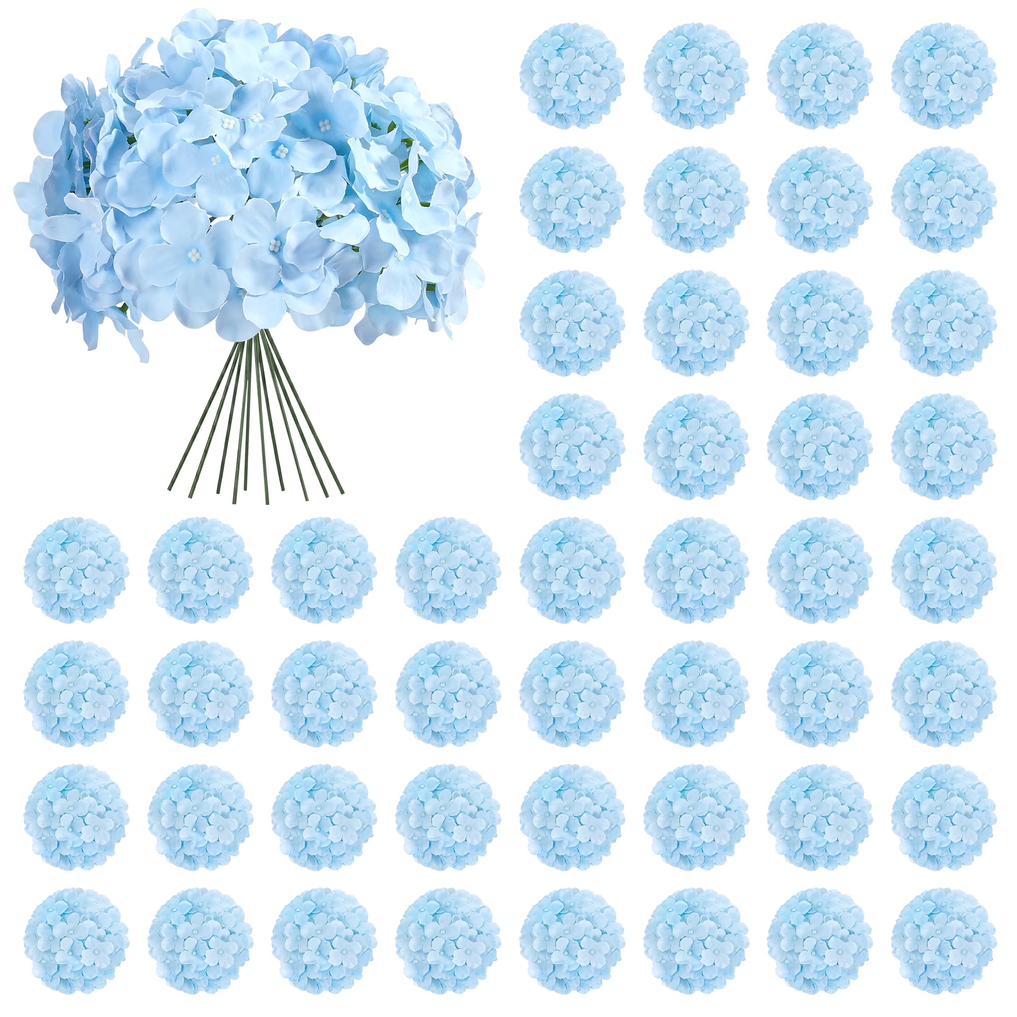 Auihiay emballage face avant montrant les 64 hortensias bleus et l'avantage quantité