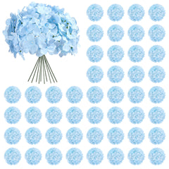 Auihiay emballage face avant montrant les 64 hortensias bleus et l'avantage quantité