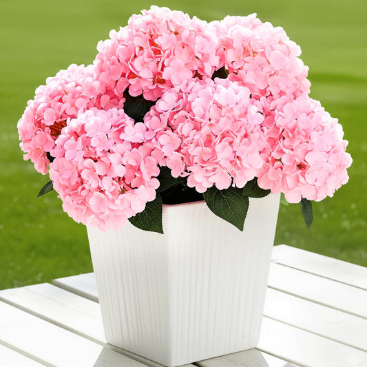 Auihiay emballage avant montrant six bouquets et présentation durable