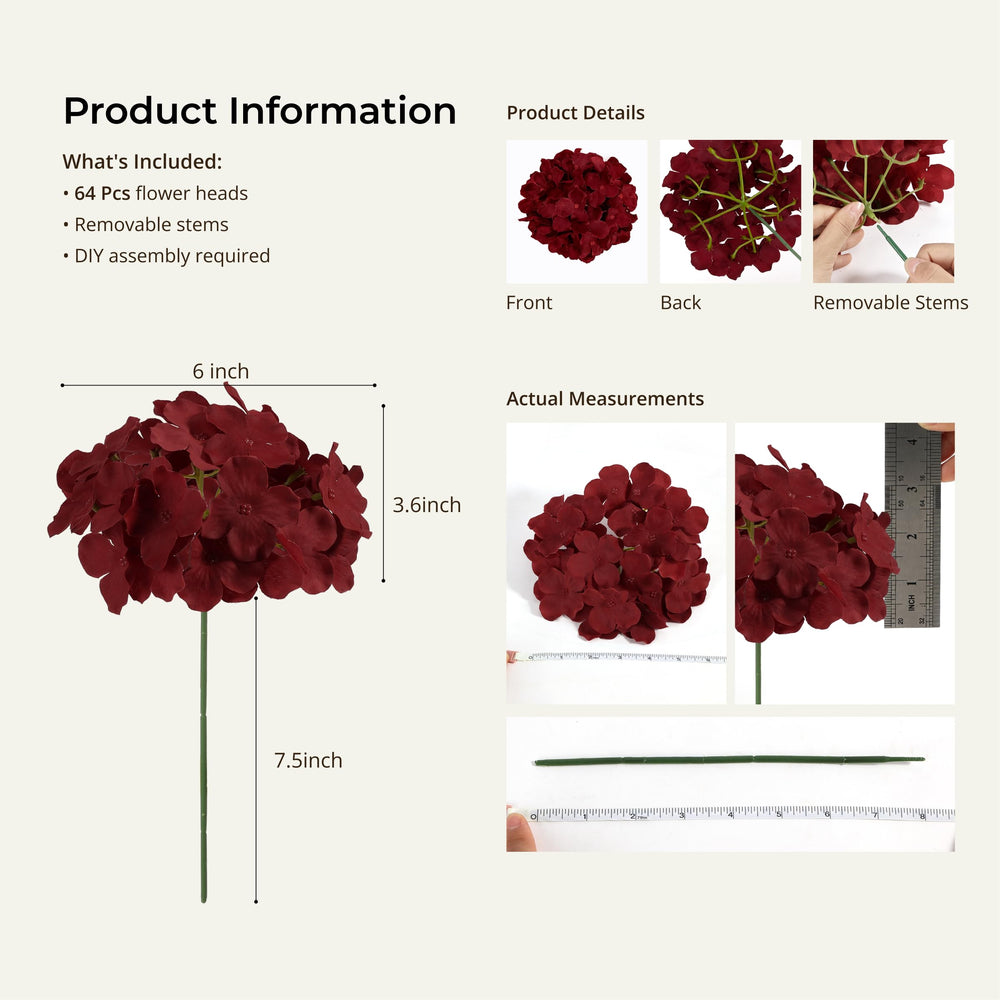 Auihiay comparaison échelle montre taille réelle des fleurs