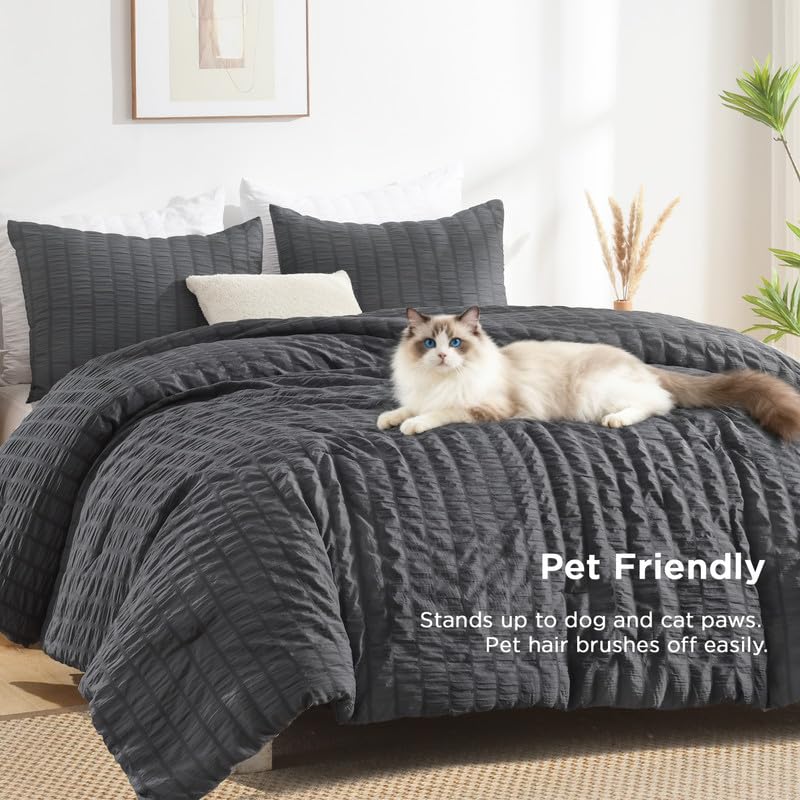 AveLom comparaison taille montrant proportions California King pour lits