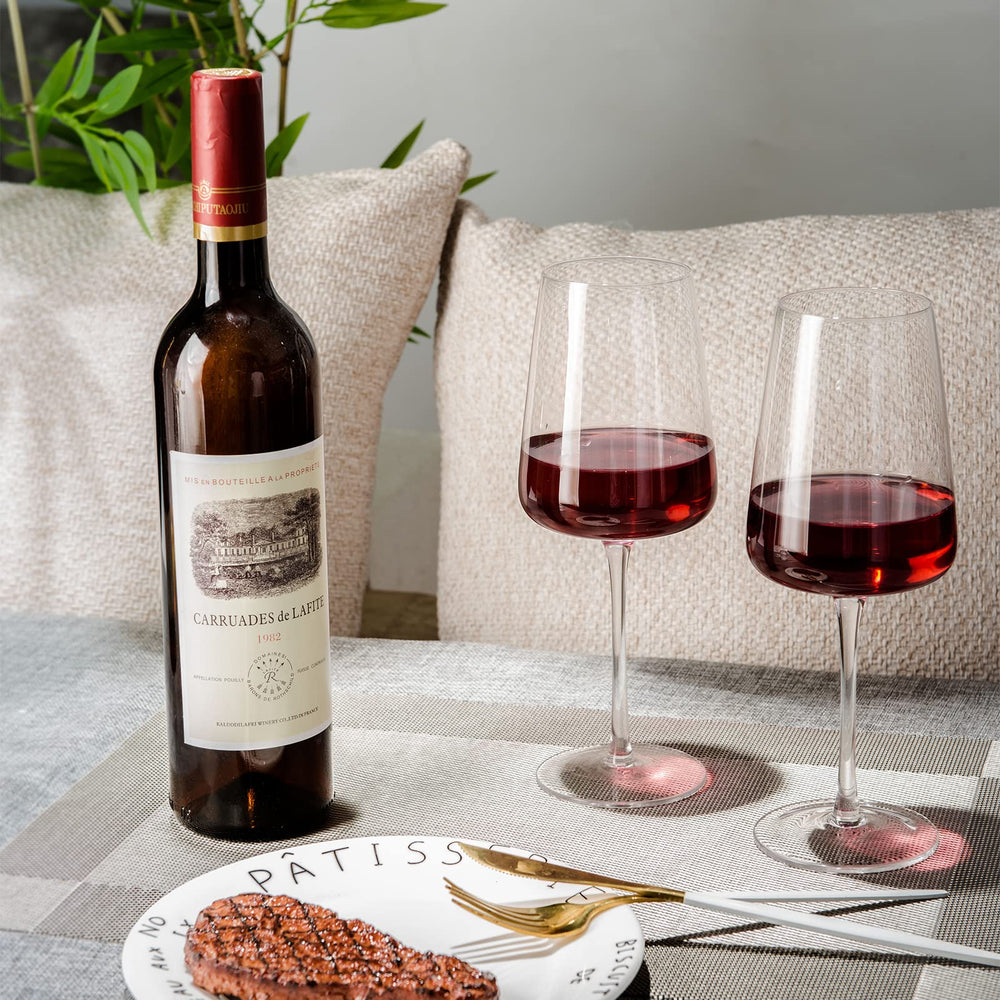 BACLIFE verre tenu par main pour montrer la taille et la capacité 19 oz