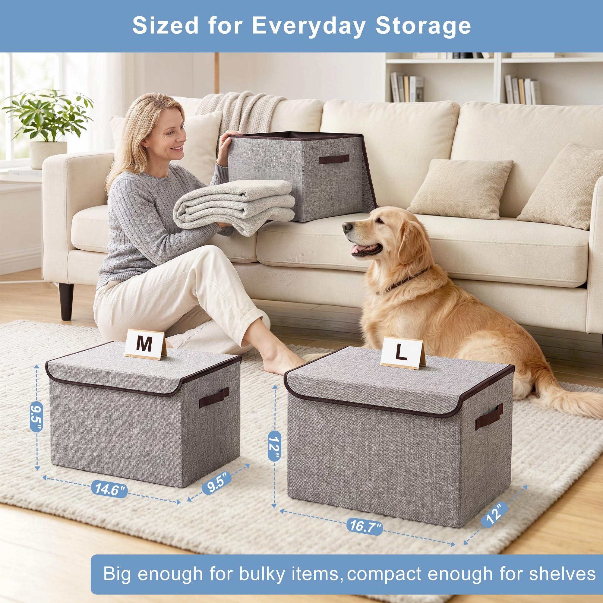 Bagnizer boîte dans un placard organisé, solution pratique pour la maison