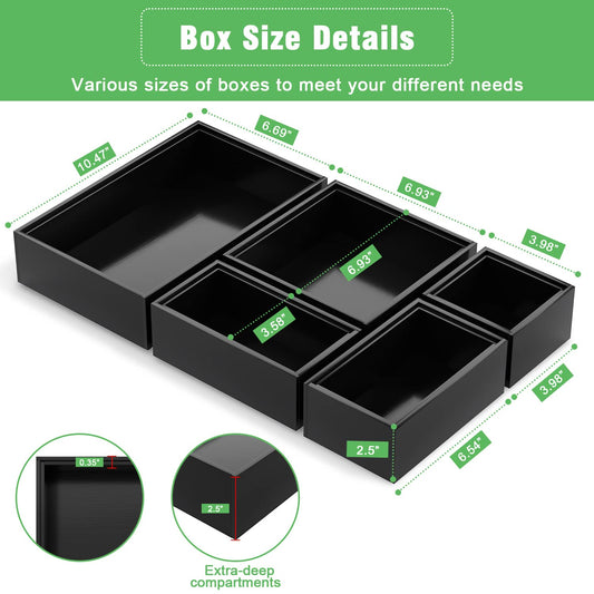 Bambloom vue dessus des cinq compartiments, organisation polyvalente immédiate