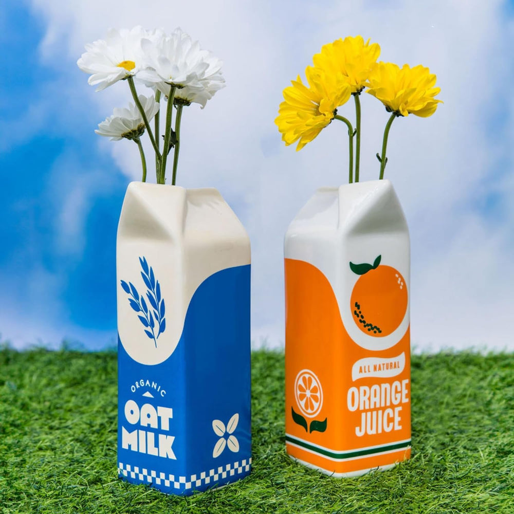 ban.do vase emballage sécurisé en boîte avec calage pour un transport sûr