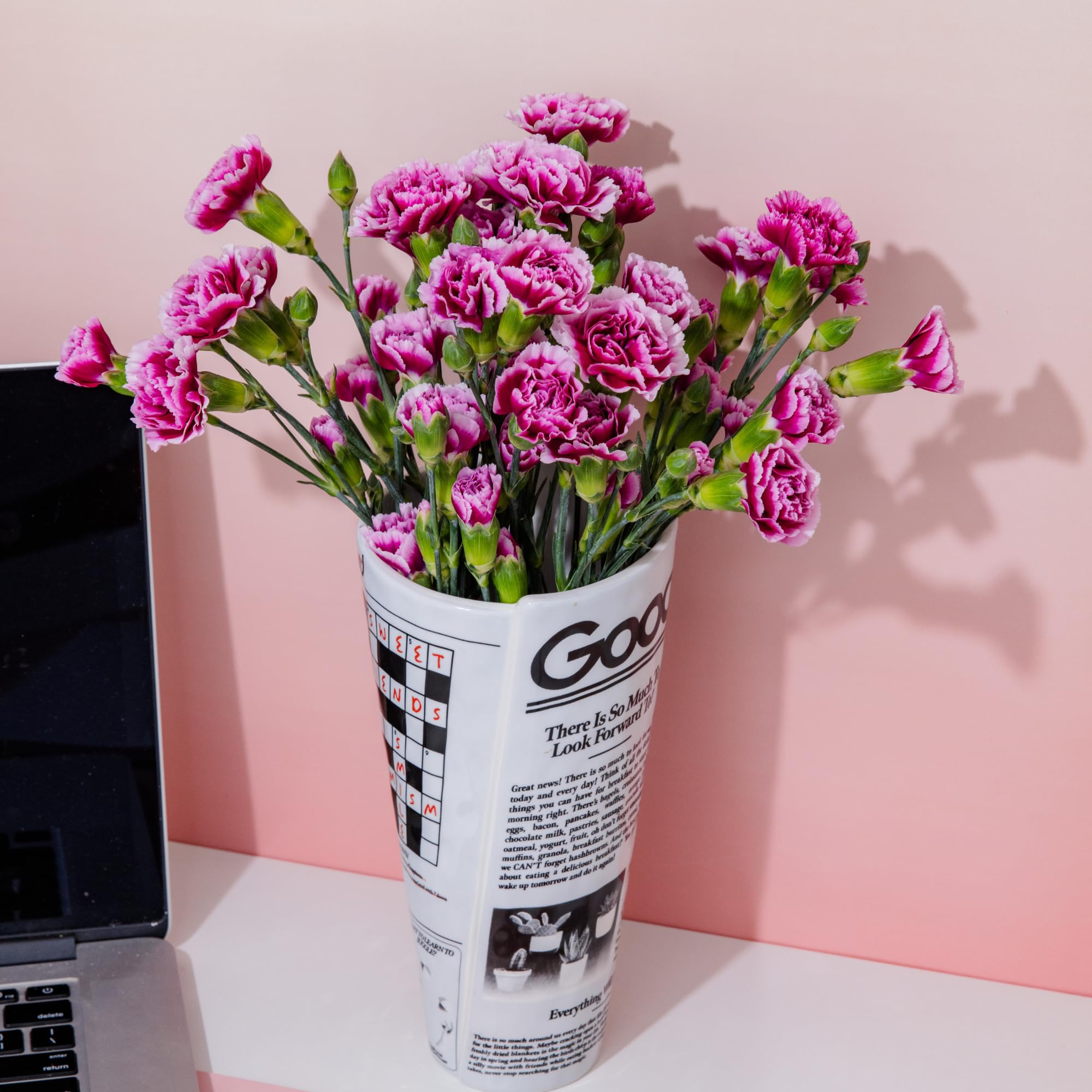 ban.do vase côte à côte avec livre, montre taille compacte