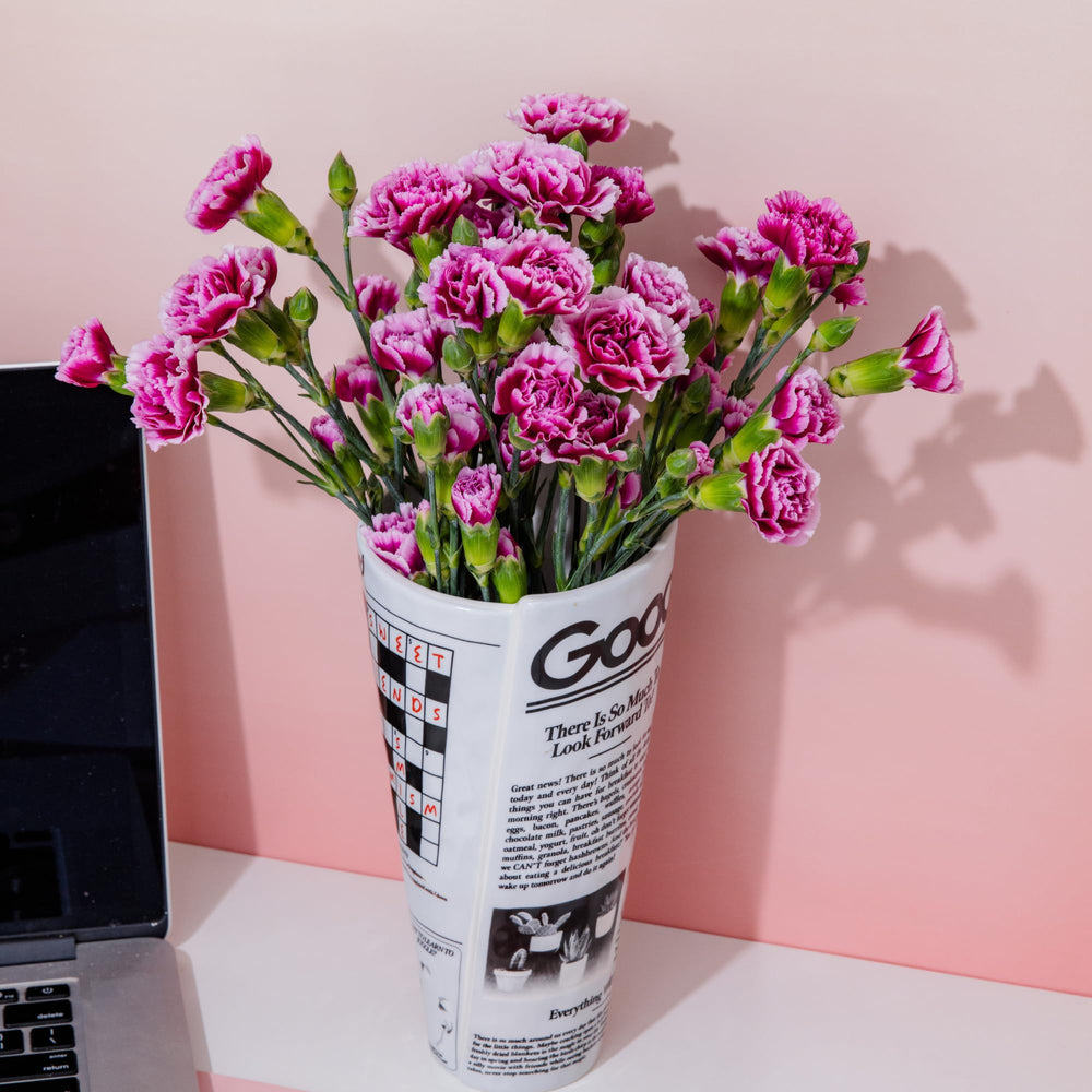 ban.do vase côte à côte avec livre, montre taille compacte
