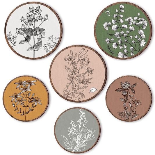 Barydat face avant du pack de 6 disques montrant style boho et harmonie