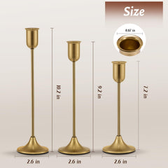 Batoslee visualisation hauteur et proportions pour harmonie déco