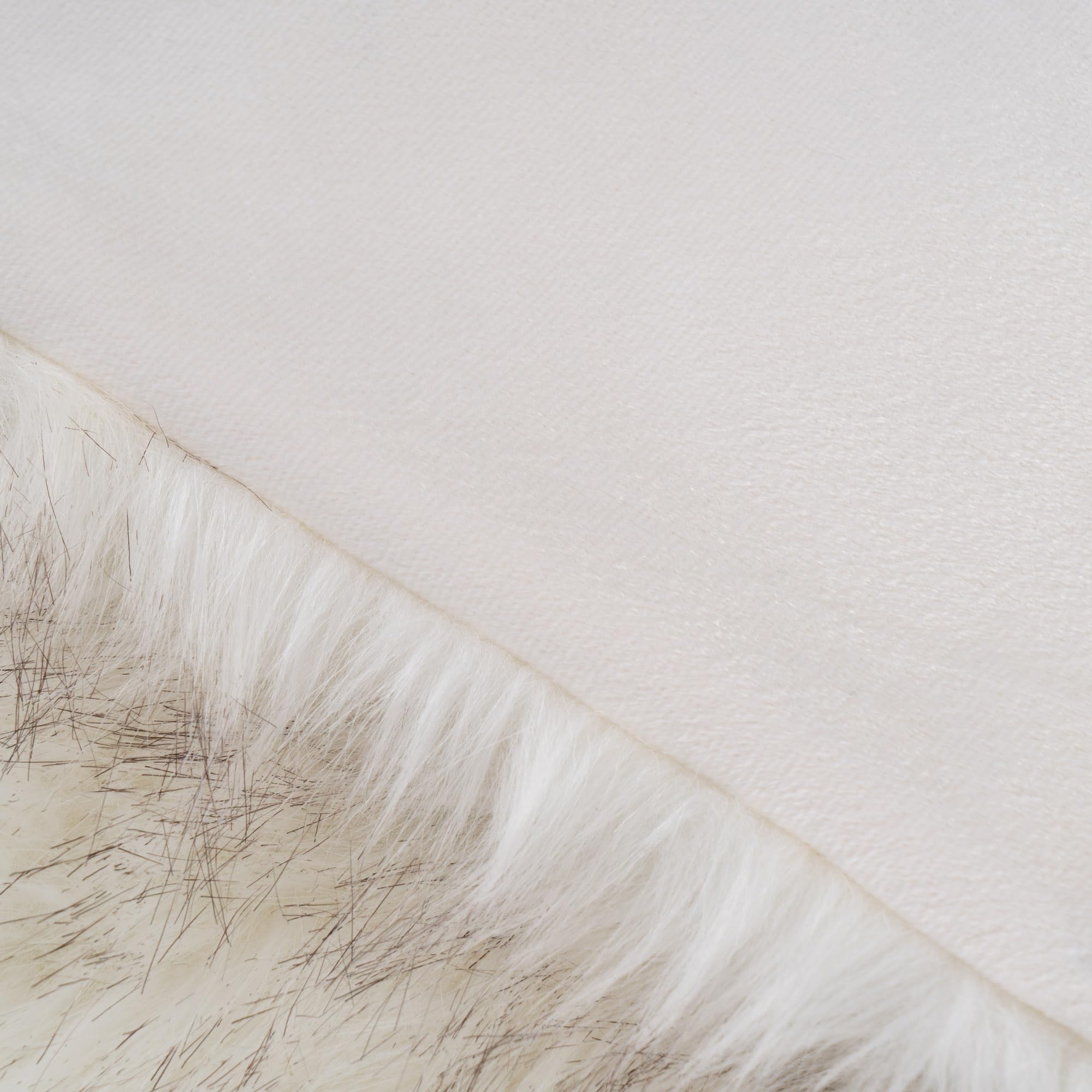 BATTILO HOME animal couché sur plaid soulignant douceur