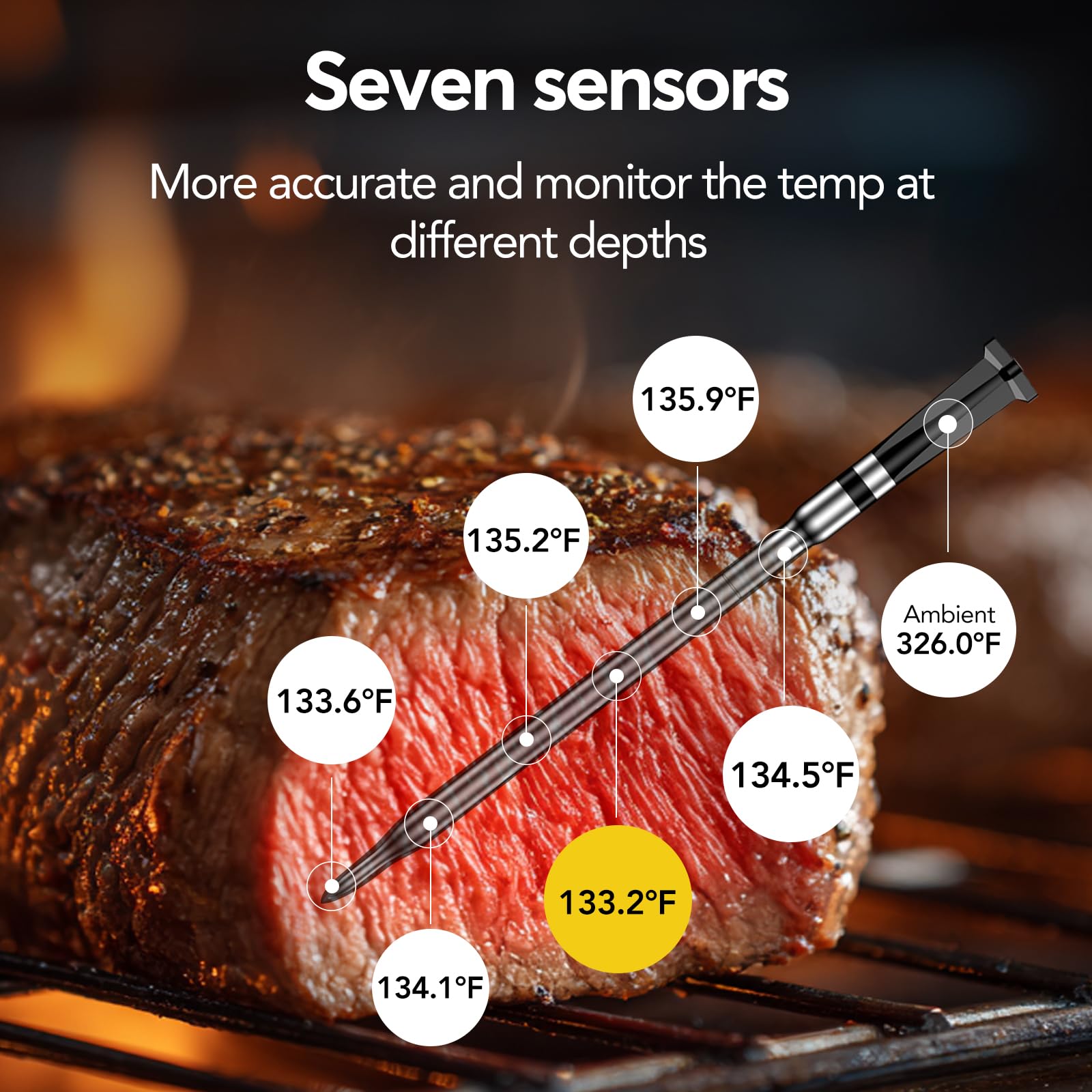 BBQOVN gros plan sonde montrant capteur précis pour mesures certifiées NIST