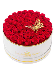 Beaulasting Roses boîte velours blanc montrant 47 roses, présentation élégante durable