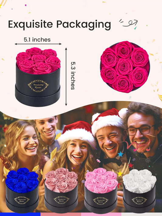 Beaulasting Roses gros plan pétales préservés montrant texture naturelle