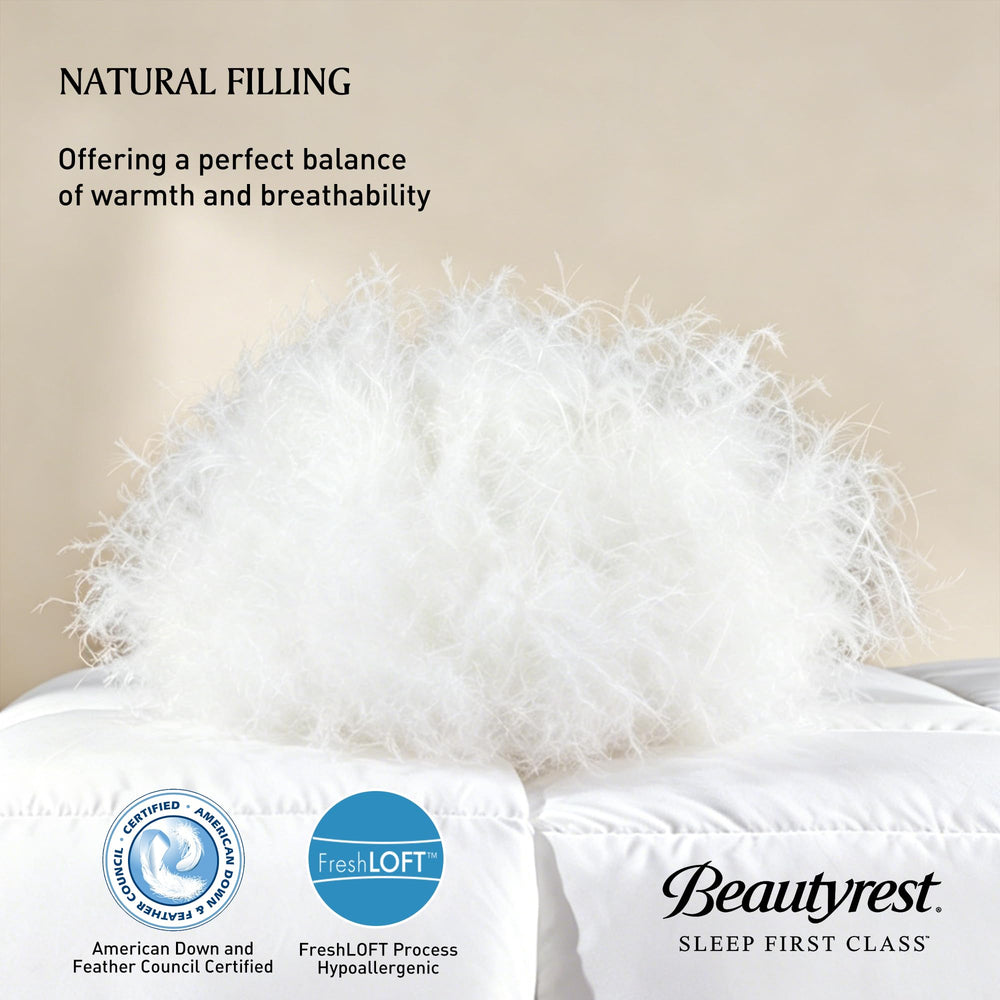 Beautyrest gros plan sur tissu coton OEKO-TEX pour respirabilité et douceur