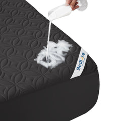 BEDLORE vue frontale du protège-matelas montrant protection complète
