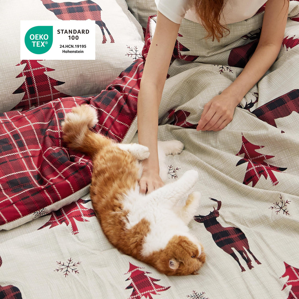 Bedsure comparaison taille Queen illustrant l'échelle sur lit