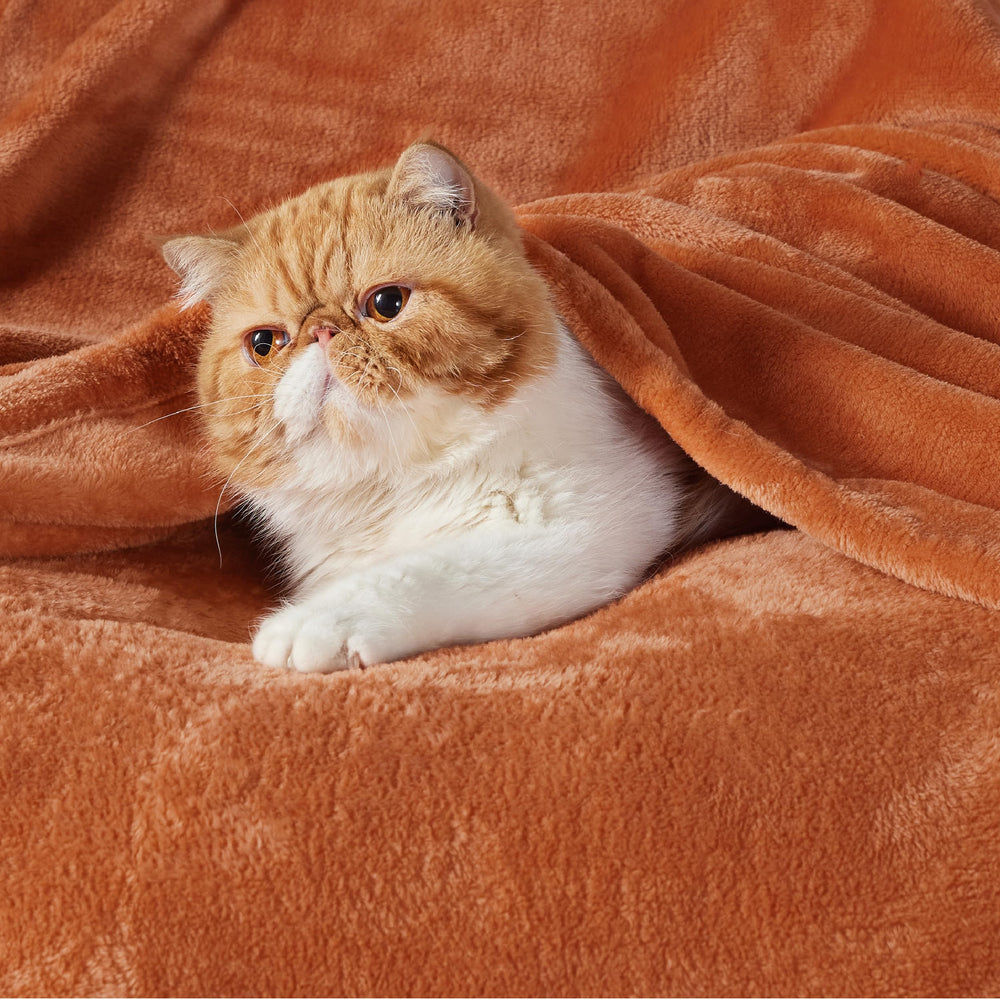Bedsure gros plan microfibre douce montrant texture pelucheuse et chaleur