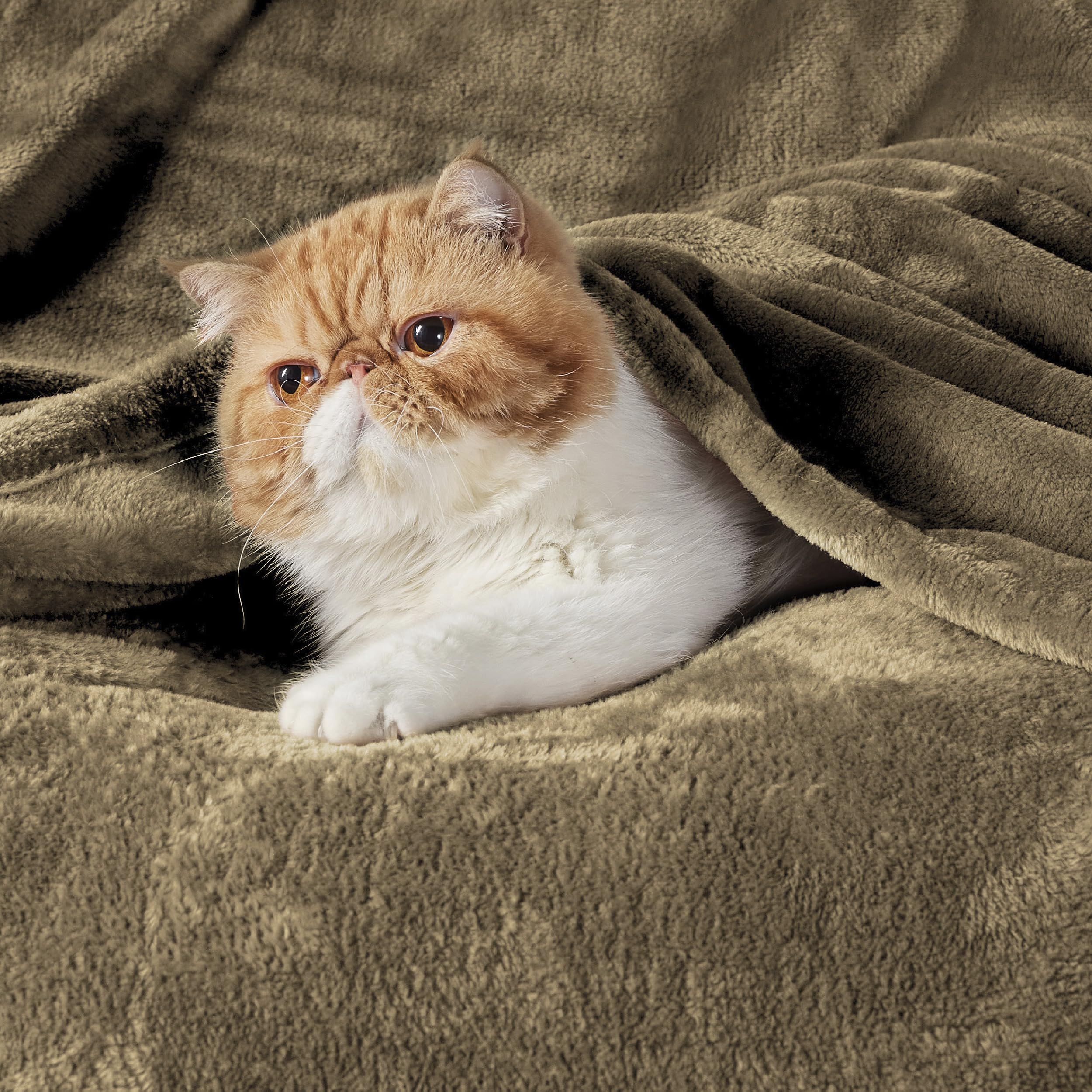 Bedsure gros plan texture microfibre montrant douceur et toucher pelucheux