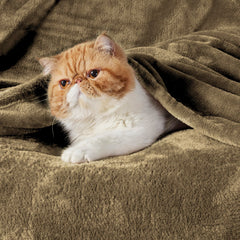 Bedsure gros plan texture microfibre montrant douceur et toucher pelucheux