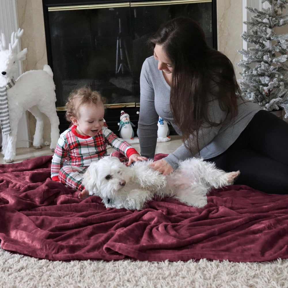 Bedsure enfant et chien blottis sur couverture illustrant confort familial