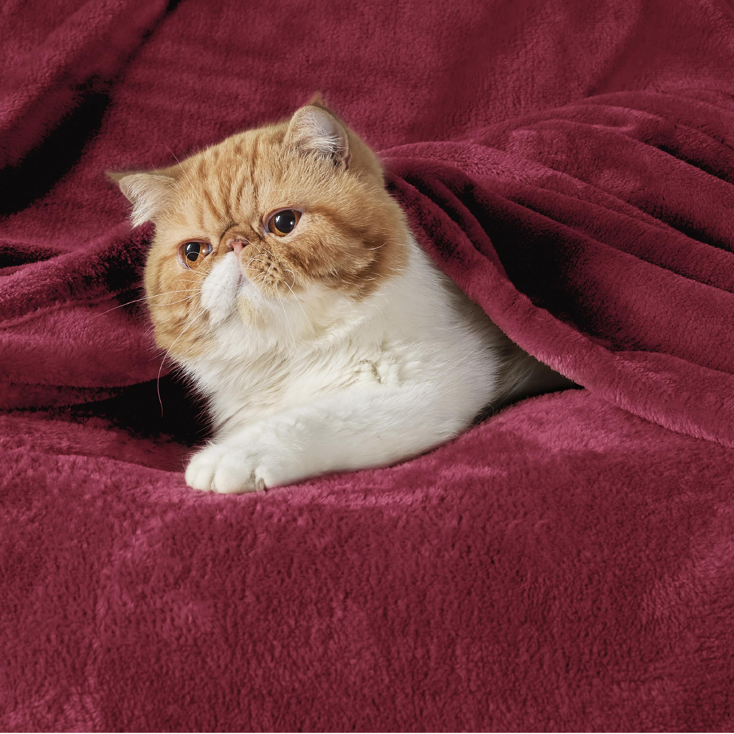 Bedsure gros plan microfibre montrant douceur et toucher moelleux