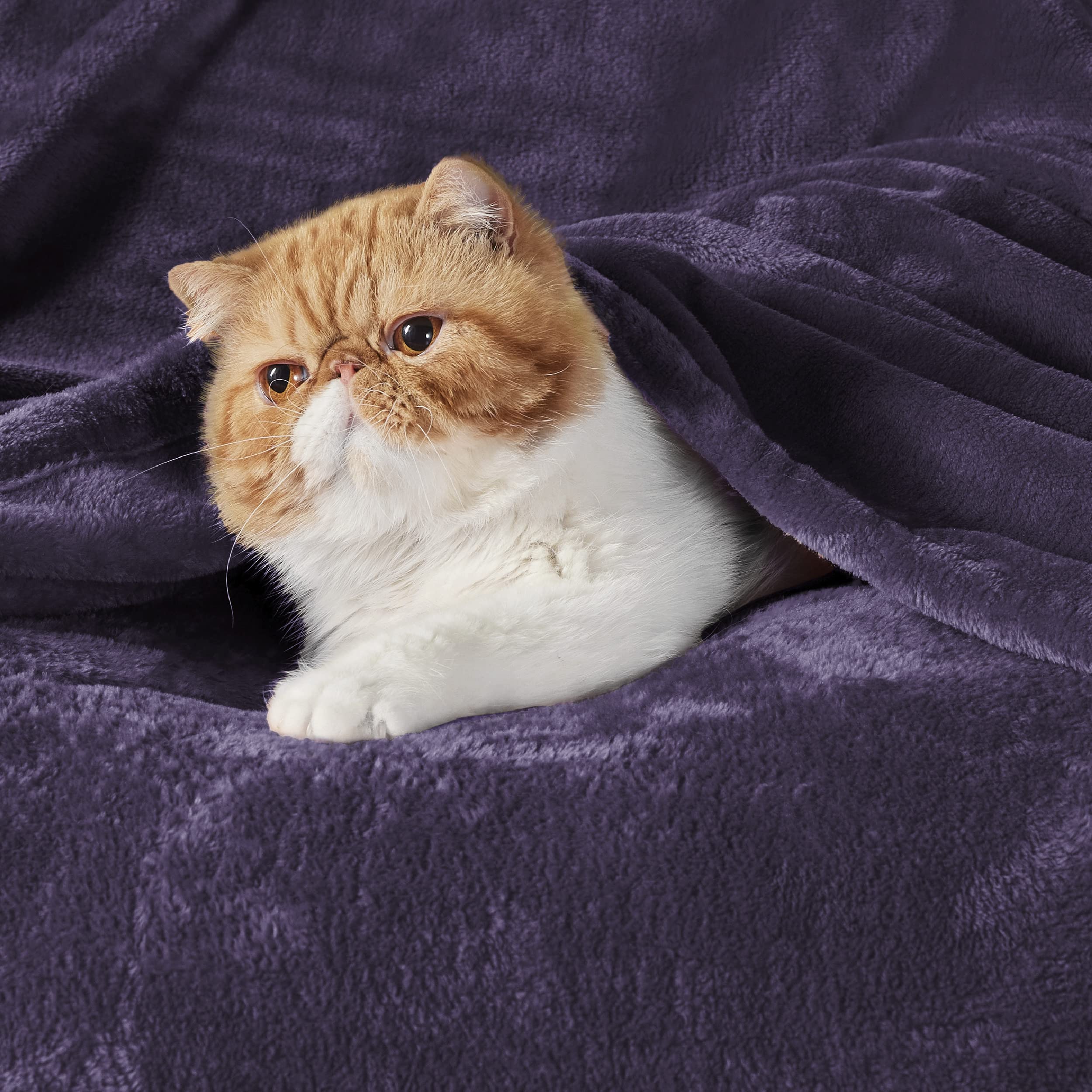 Bedsure GentleSoft gros plan texture microfibre montrant douceur extrême