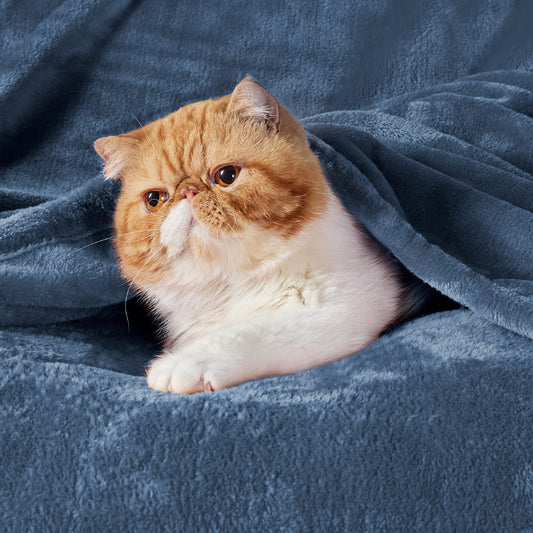 Bedsure gros plan du tissu microfibre montrant la texture douce et le confort tactile