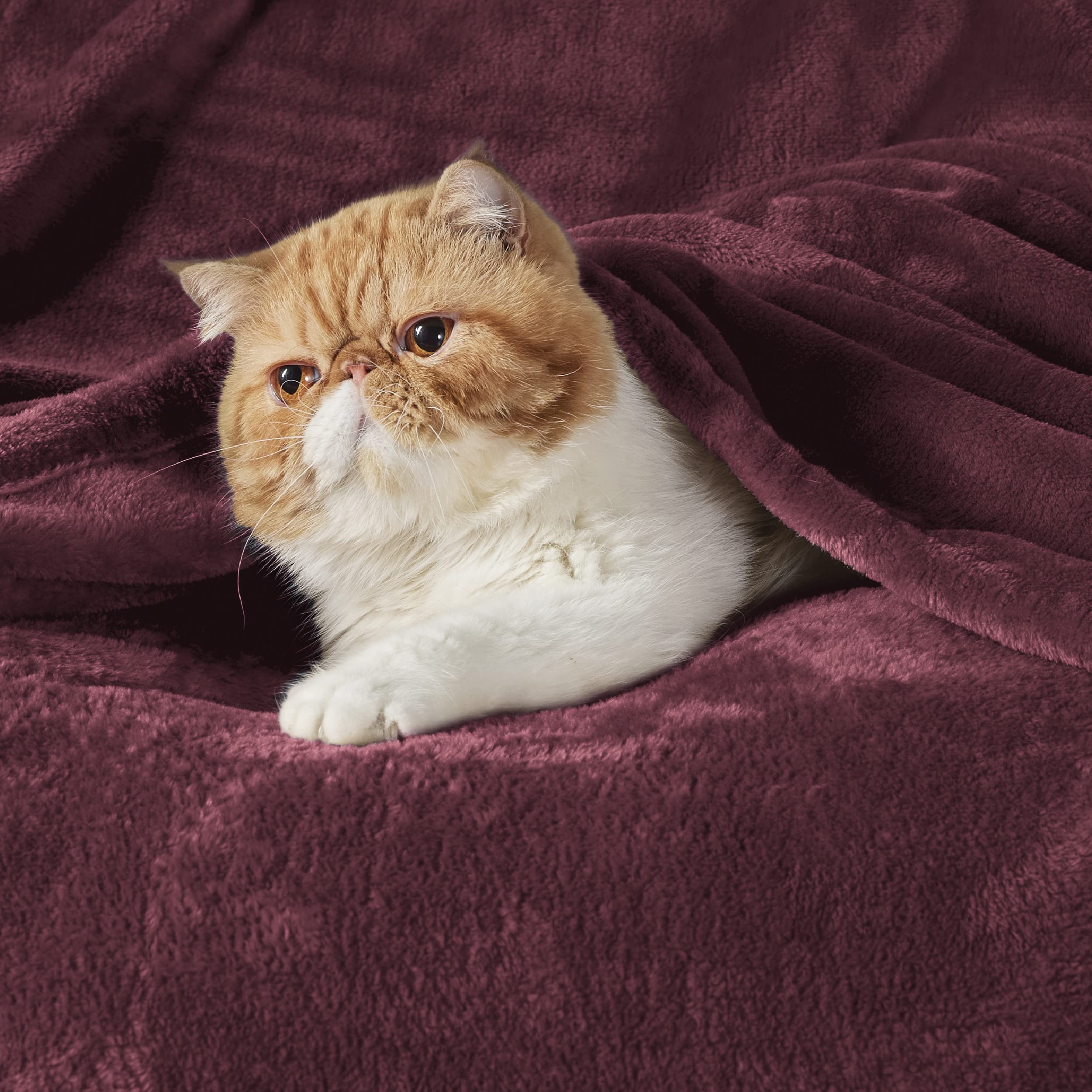 Bedsure gros plan microfibre montrant texture douce et confort tactile