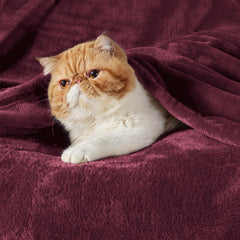 Bedsure gros plan microfibre montrant texture douce et confort tactile