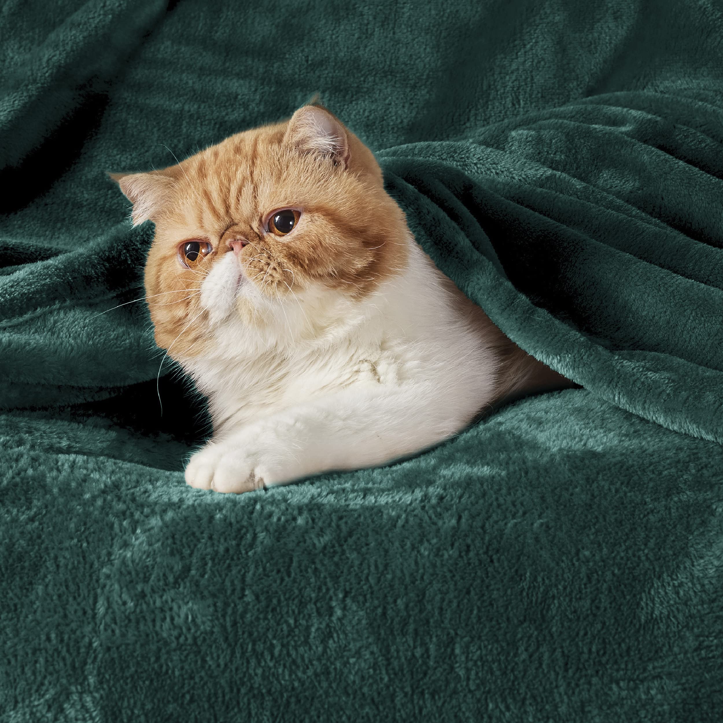 Bedsure gros plan texture microfibre illustrant douceur supérieure