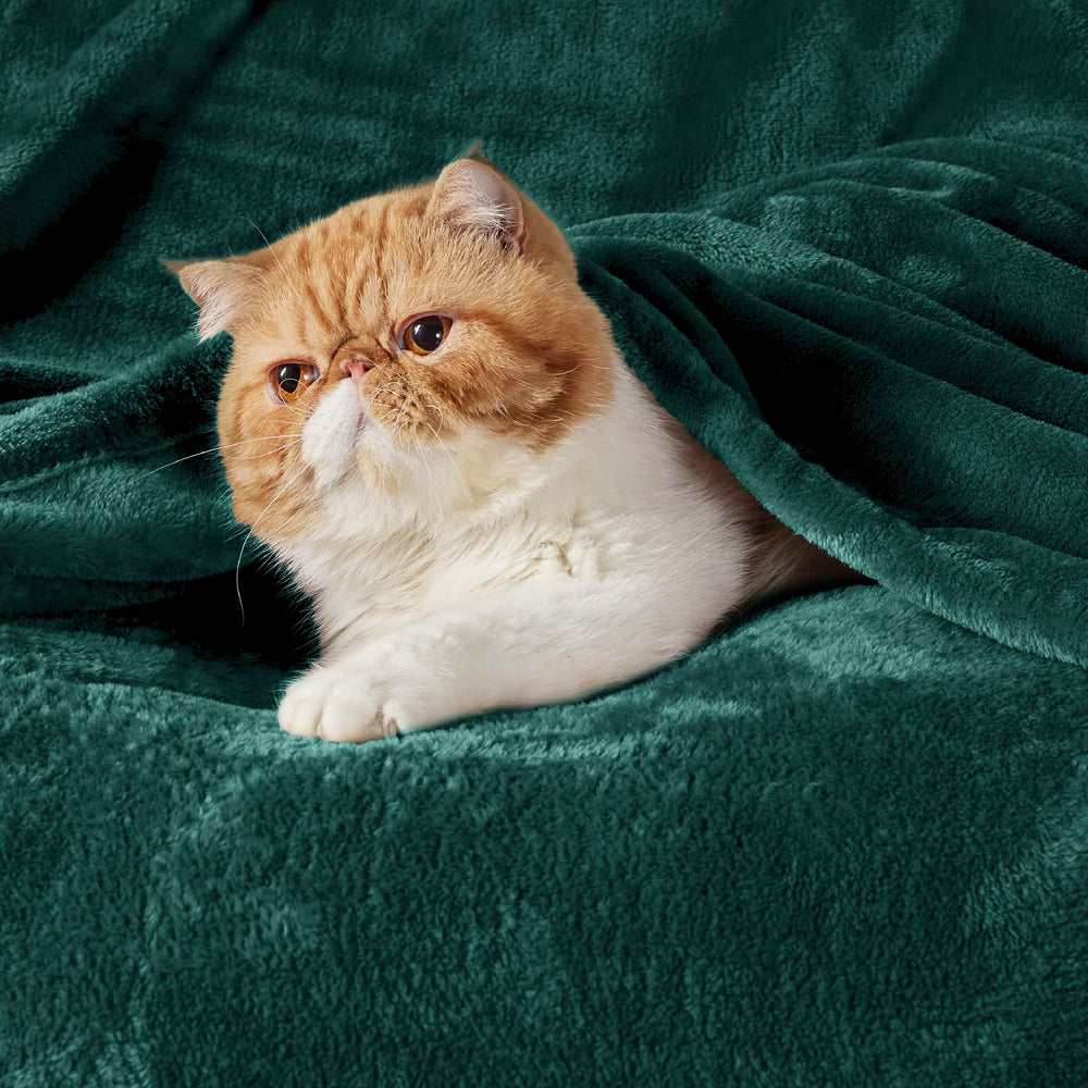 Bedsure gros plan texture microfibre illustrant douceur supérieure