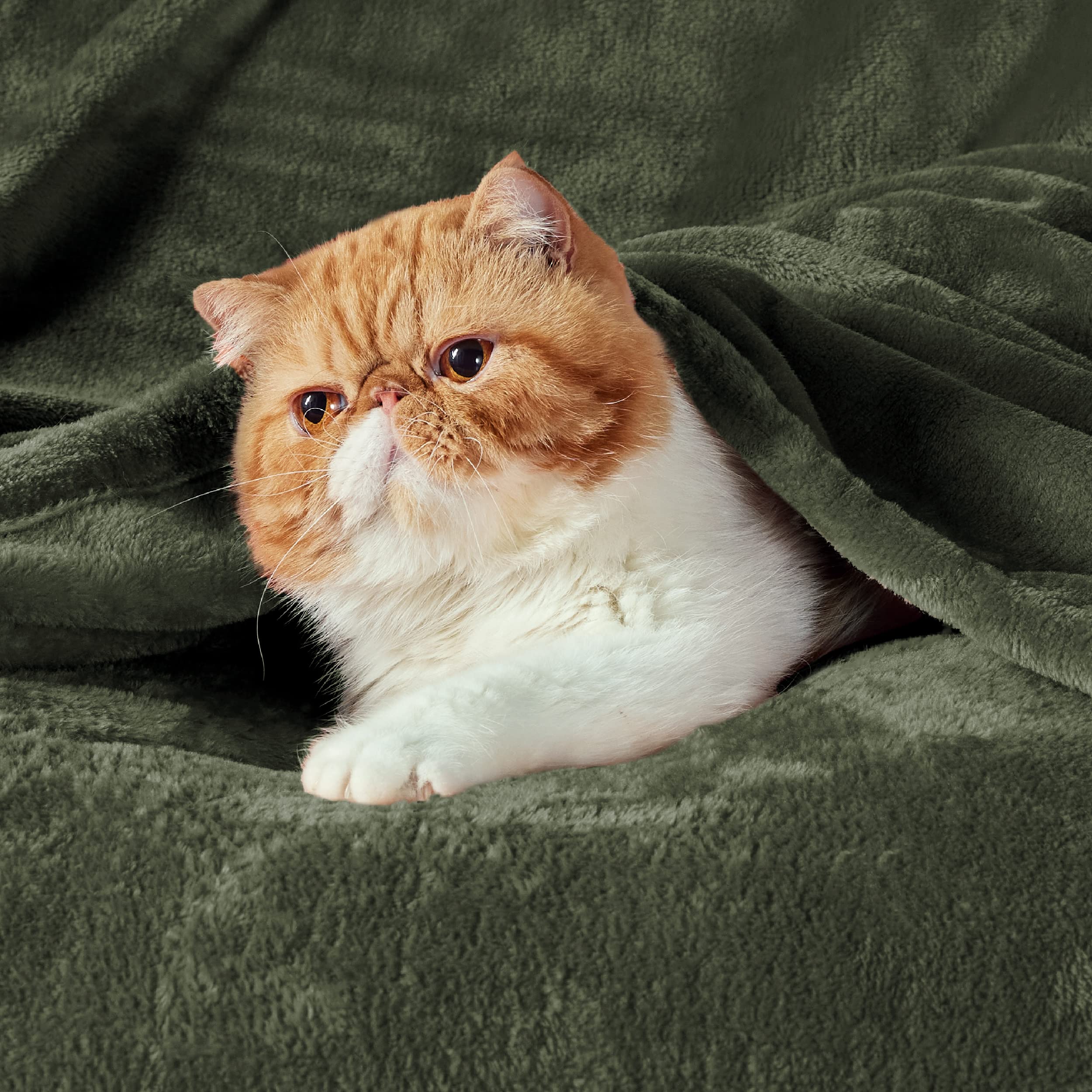 Bedsure microfibre gros plan sur texture pelucheuse pour confort immédiat