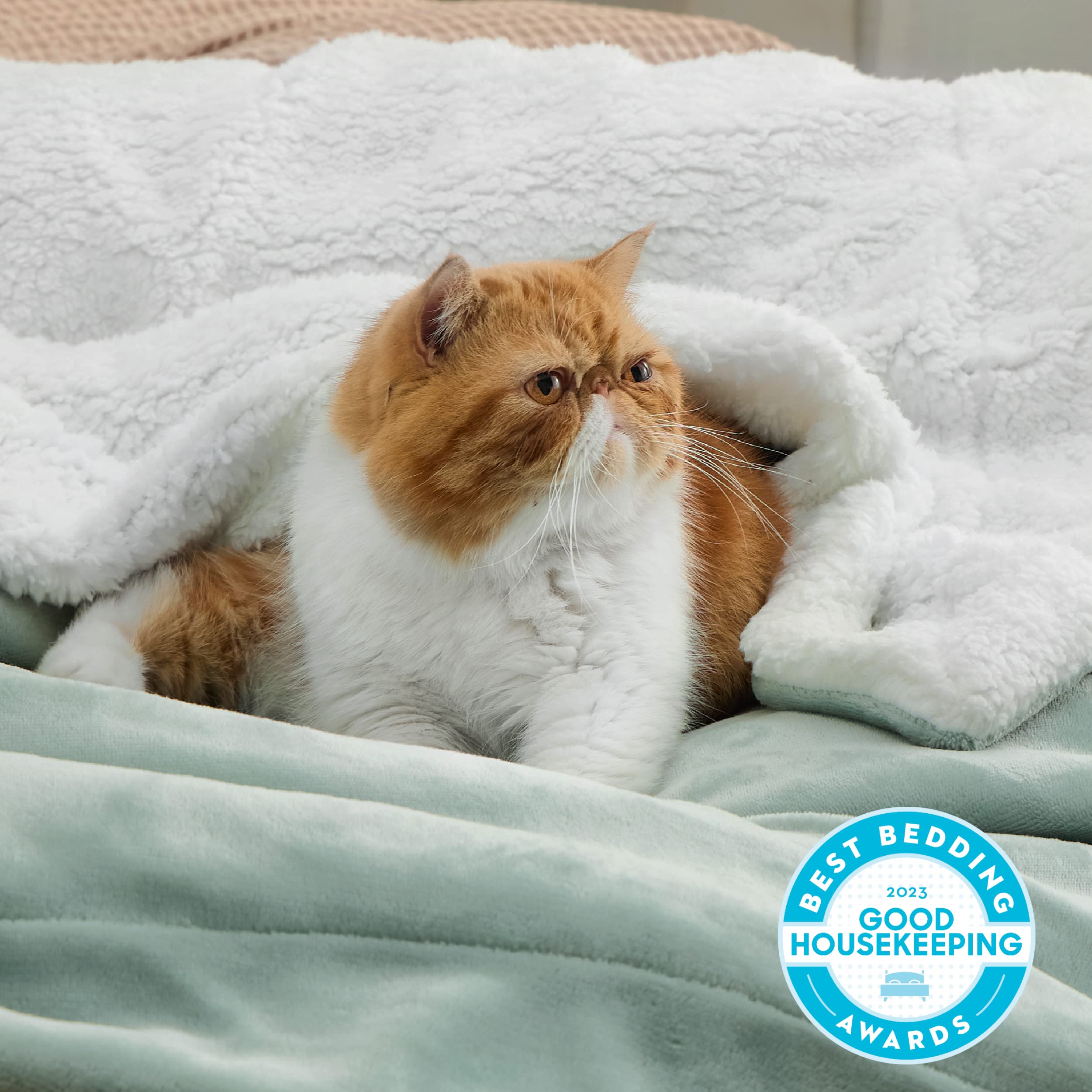 Bedsure gros plan Sherpa moelleux pour chaleur et douceur tactile