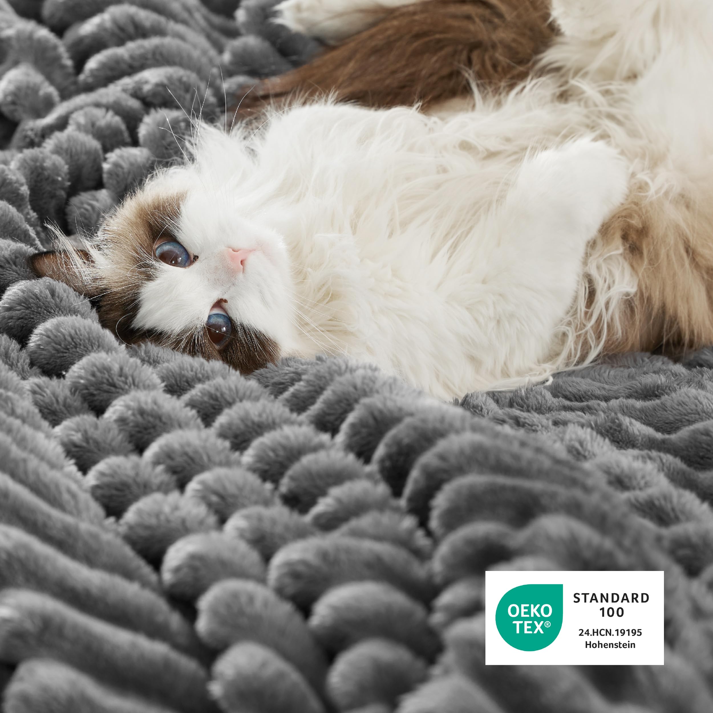 Bedsure couverture posée sur lit queen créant ambiance cosy