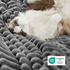 Bedsure couverture posée sur lit queen créant ambiance cosy