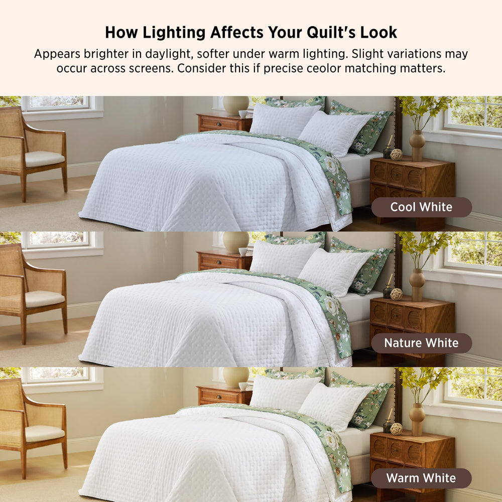 Bedsure usage animaux surface lisse facilite retrait des poils