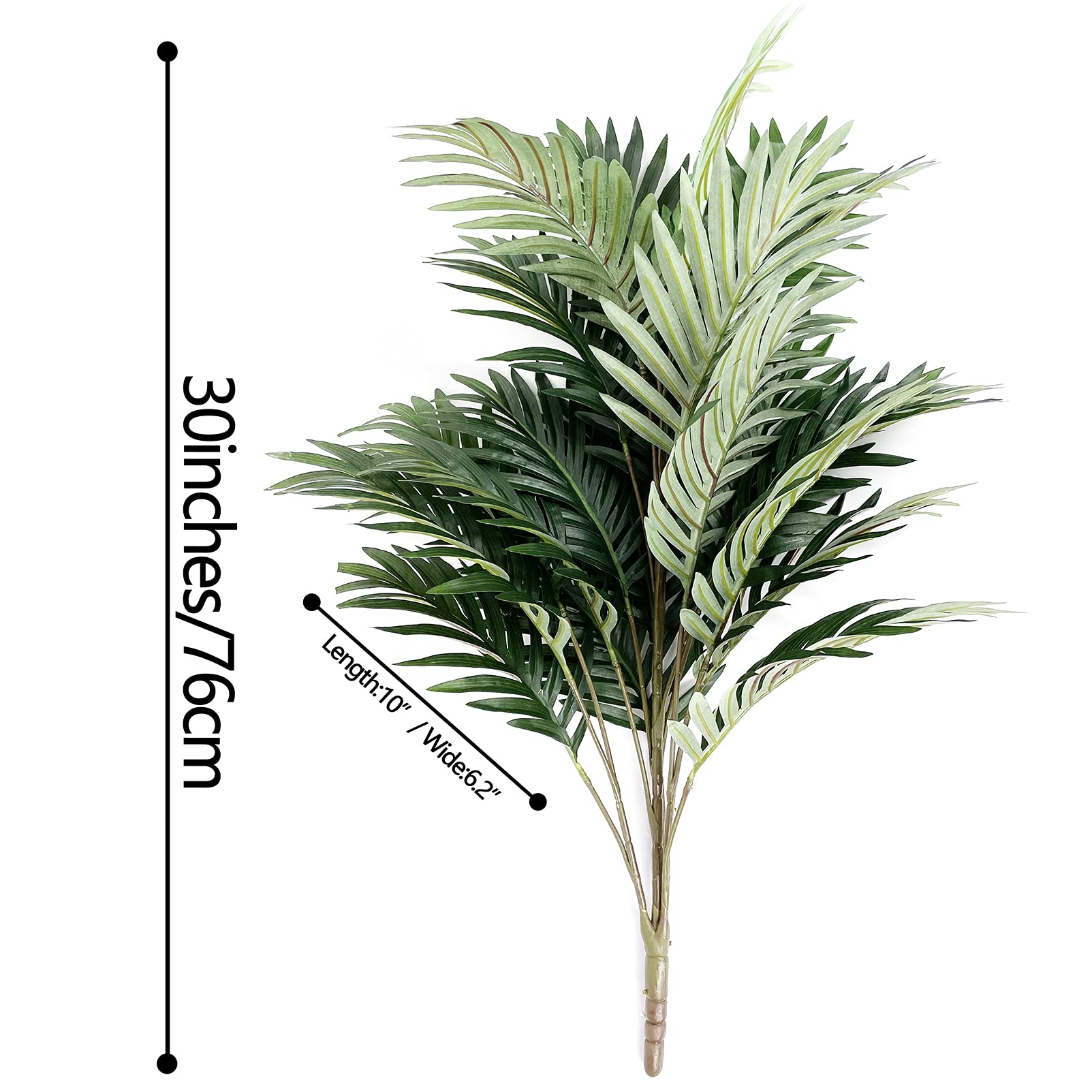 Beebel gros plan sur la texture et la forme en V des frondes, aspect réaliste