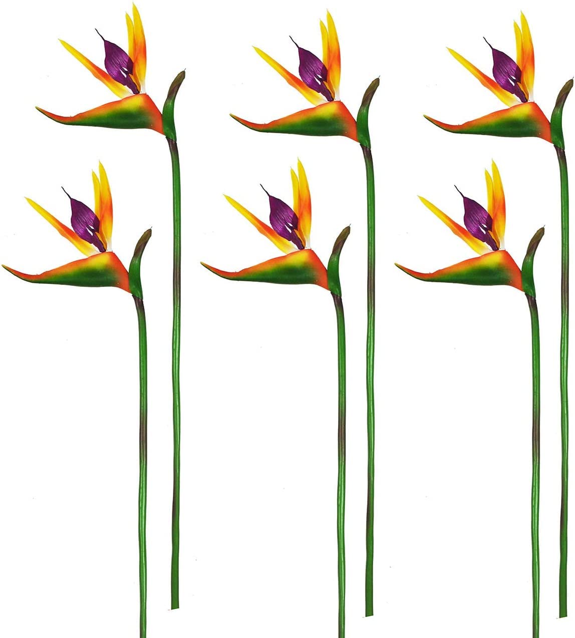 Beebel comparaison taille montrant 60 cm, idée d’échelle pour vases et espaces