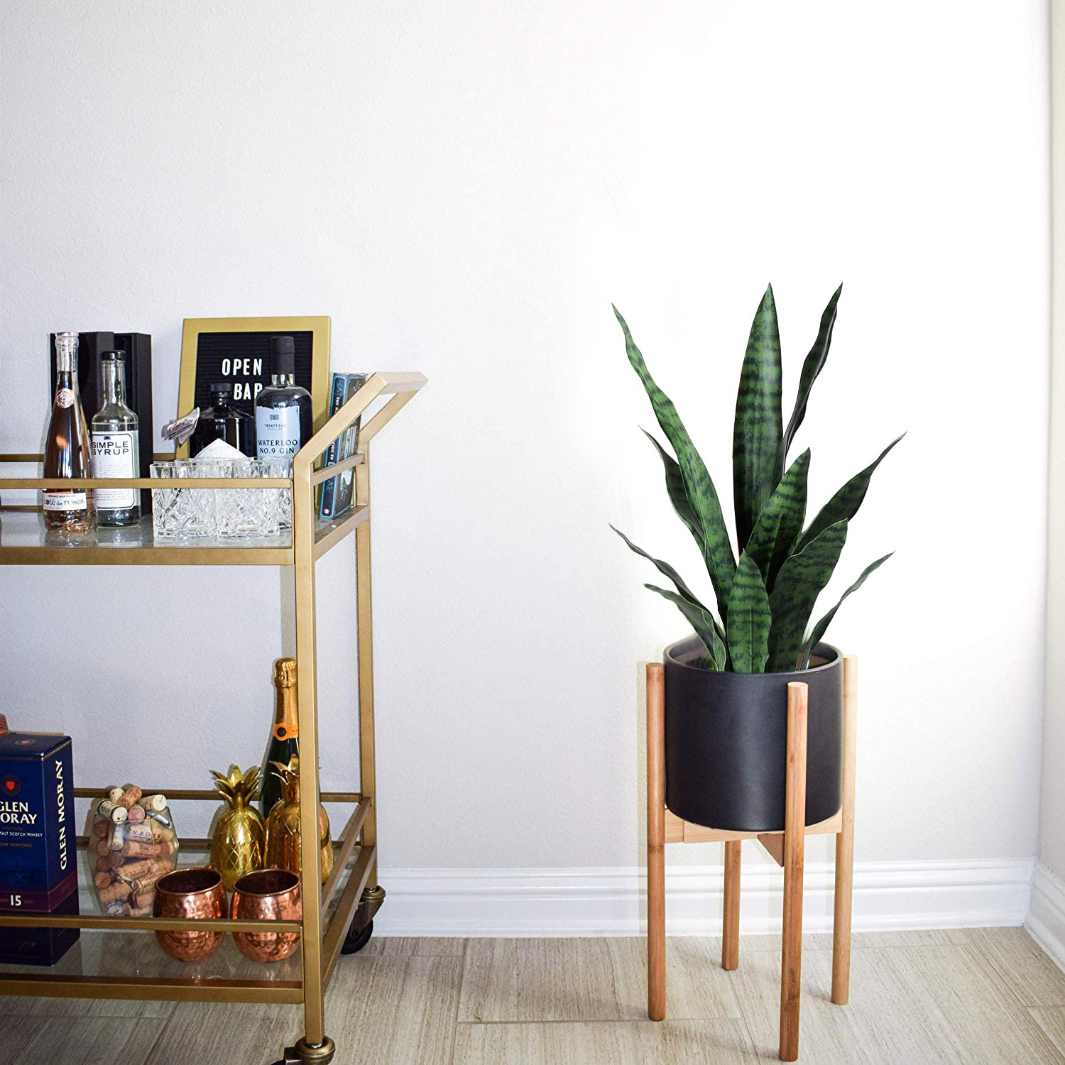Beebel vue latérale de la plante affichant silhouette élancée et proportions pratiques
