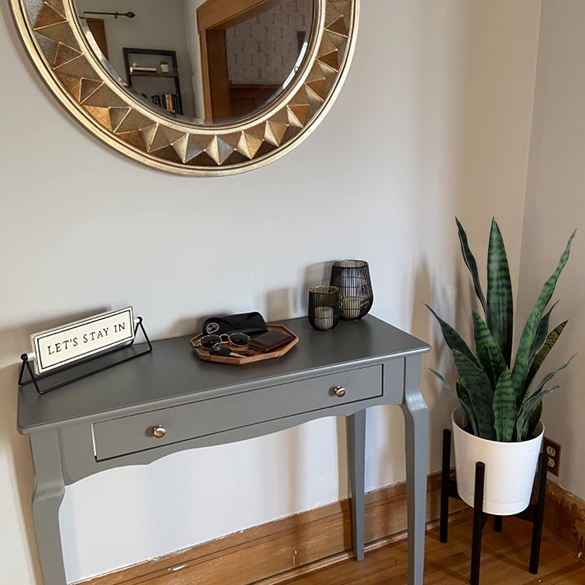 Beebel Sansevieria posée dans un salon moderne pour un décor sans entretien