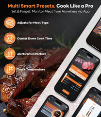 Beelicious Pro sonde insérée dans un rôti, contrôle précis de cuisson