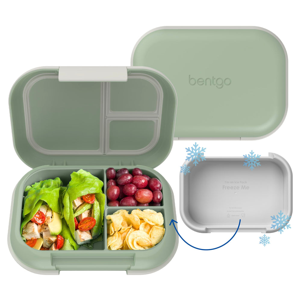 Bentgo montrant la face avant et la finition bi‑ton, pratique et élégante